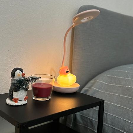 Appartement Au Coeur Strazburg Dış mekan fotoğraf